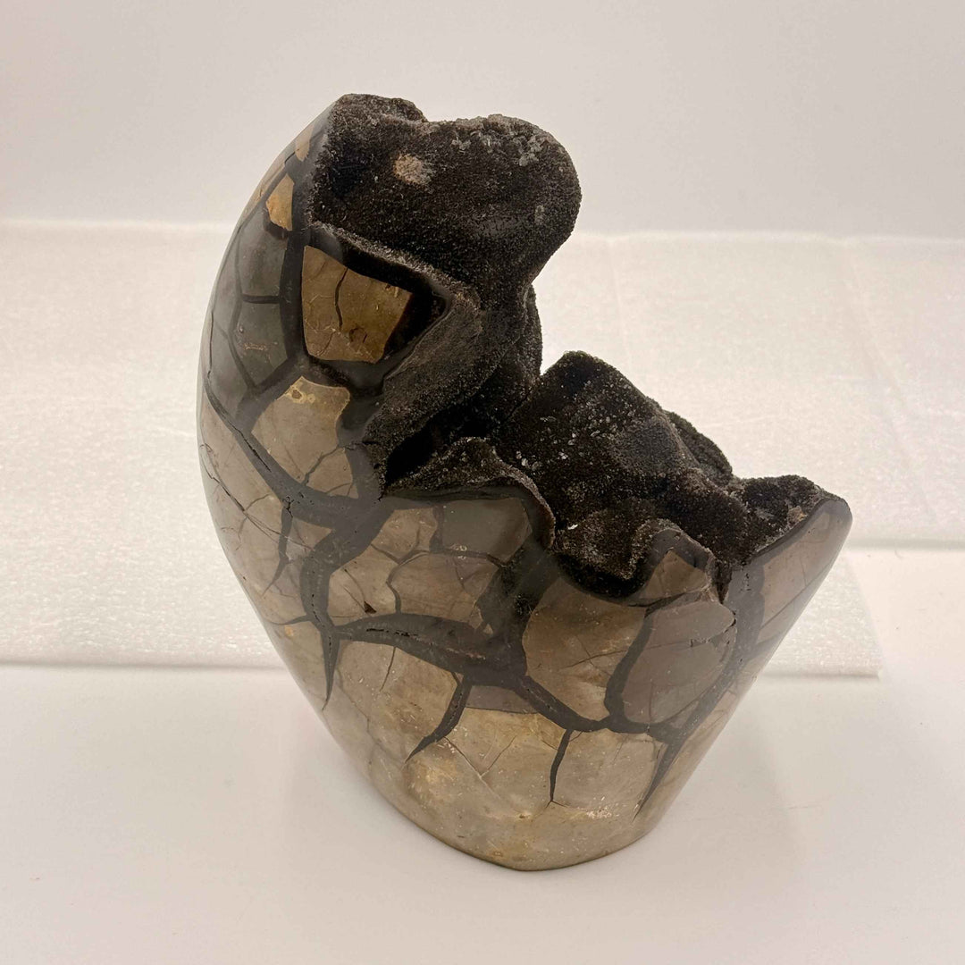 Septarian Nodule – Stone of Mastery | 12.5 lb Display Piece