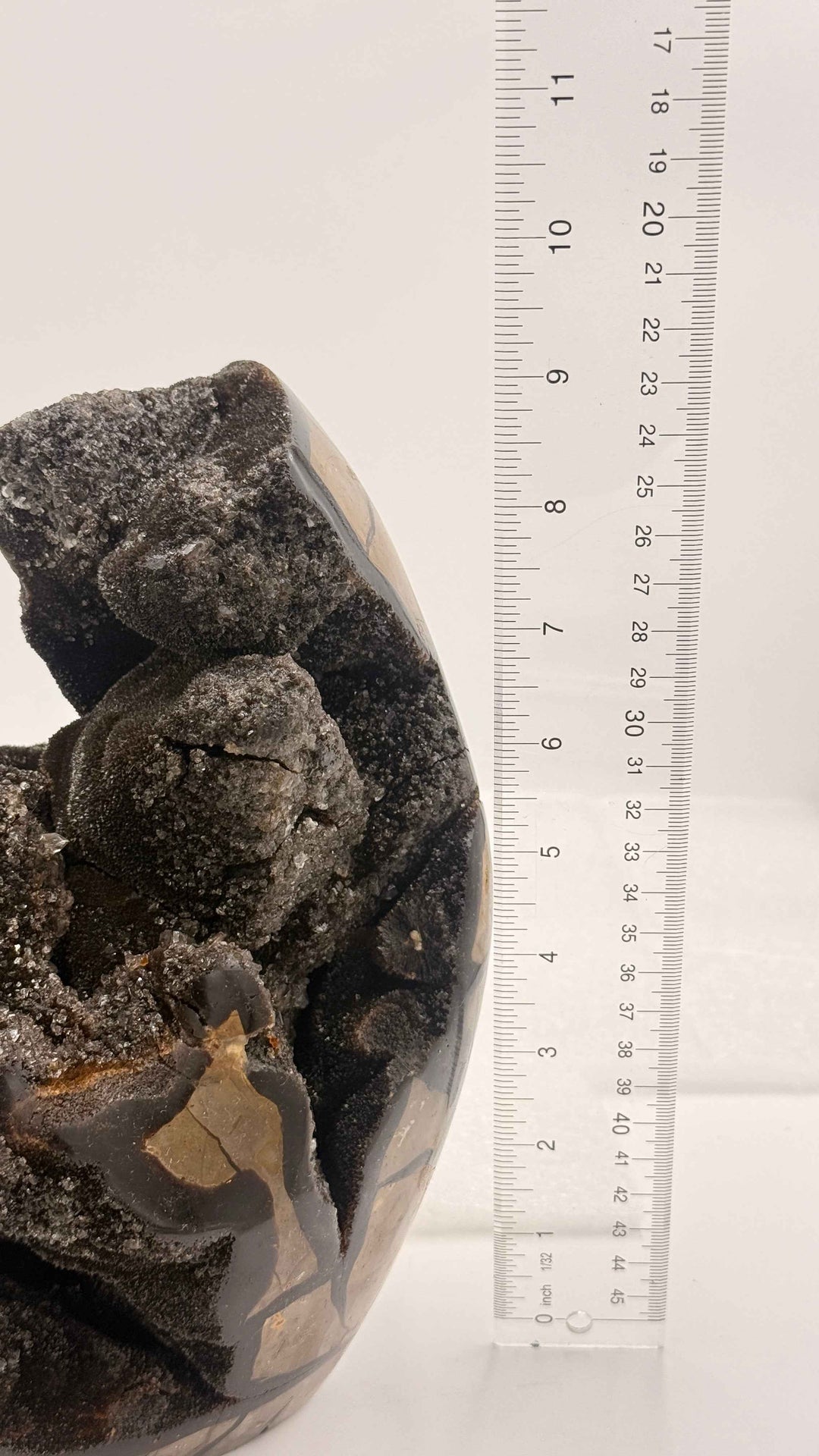 Septarian Nodule – Stone of Mastery | 12.5 lb Display Piece