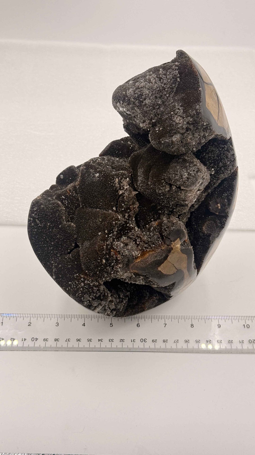 Septarian Nodule – Stone of Mastery | 12.5 lb Display Piece