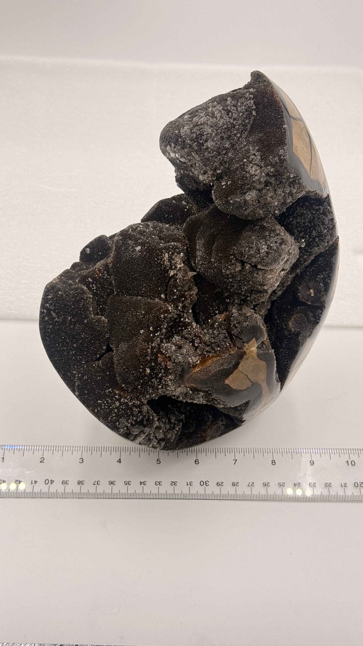 Septarian Nodule – Stone of Mastery | 12.5 lb Display Piece