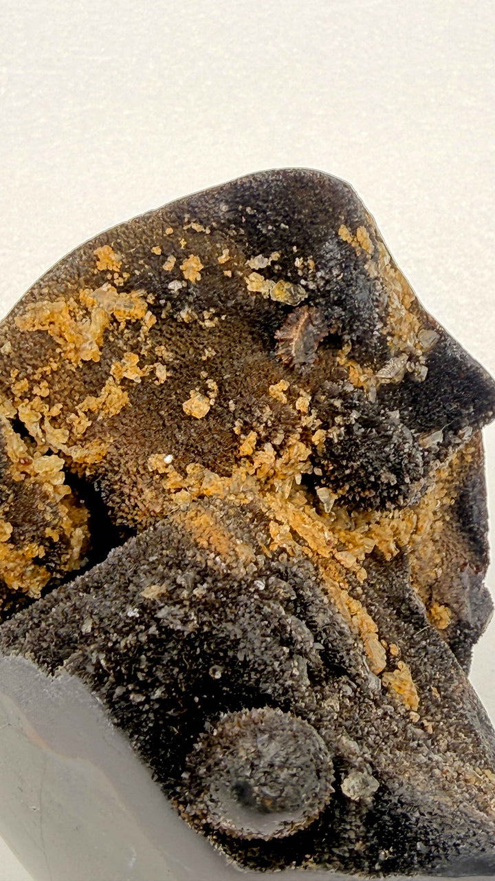 Septarian Nodule – Stone of Mastery | 3.5 lb Heart-Form Desk Piece