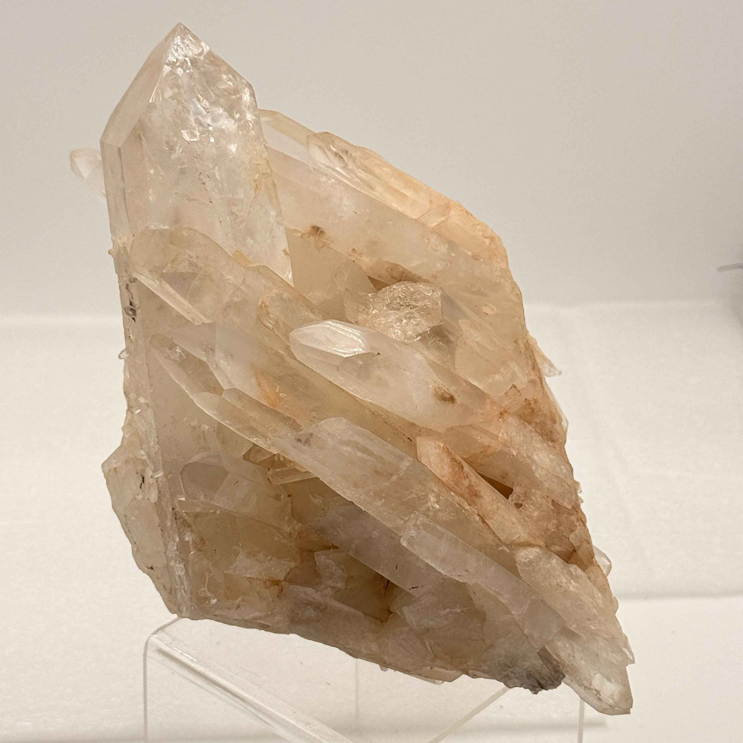 Self-Healed Quartz Specimen with Lemurian Points | 8" Display Crystal