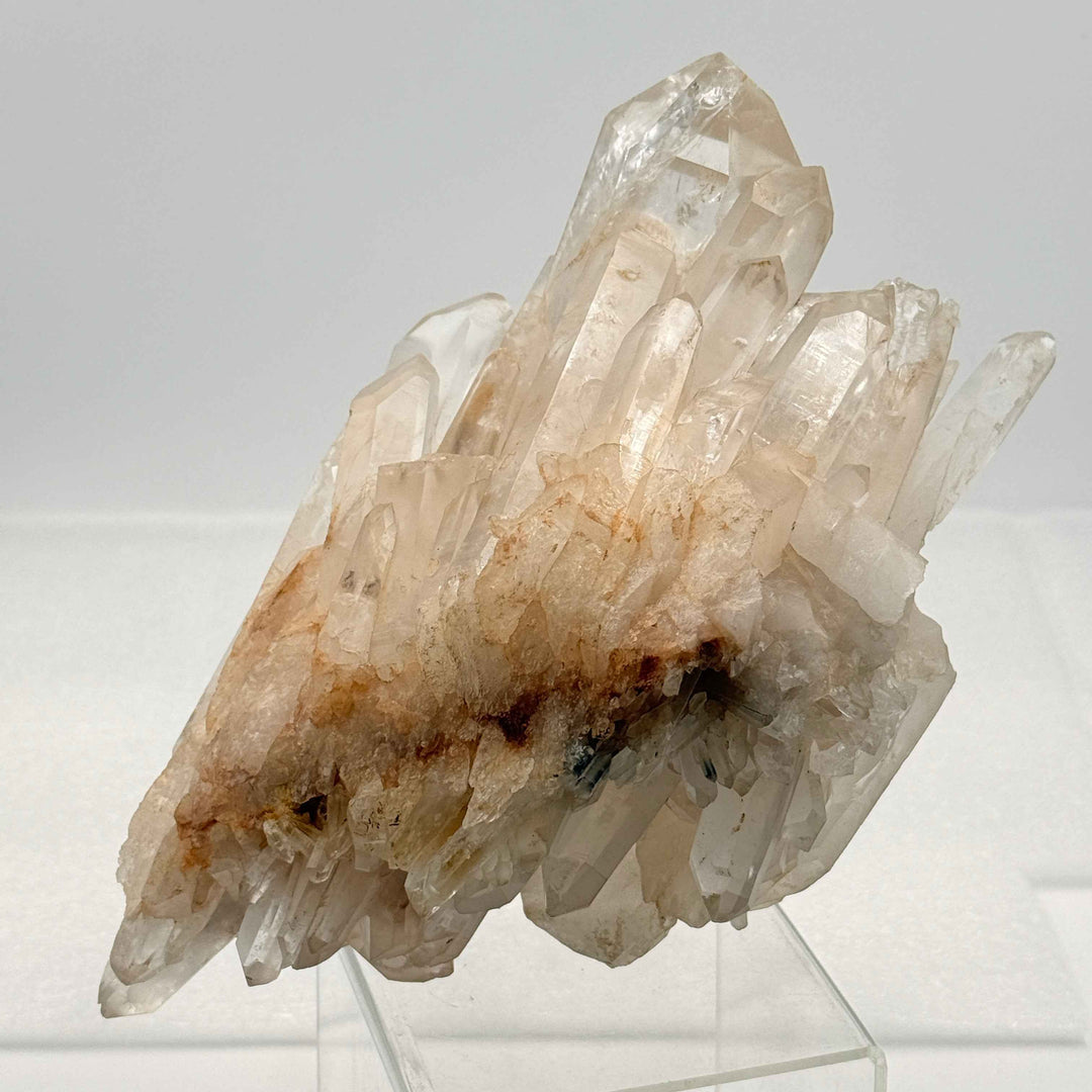 Self-Healed Quartz Specimen with Lemurian Points | 8" Display Crystal