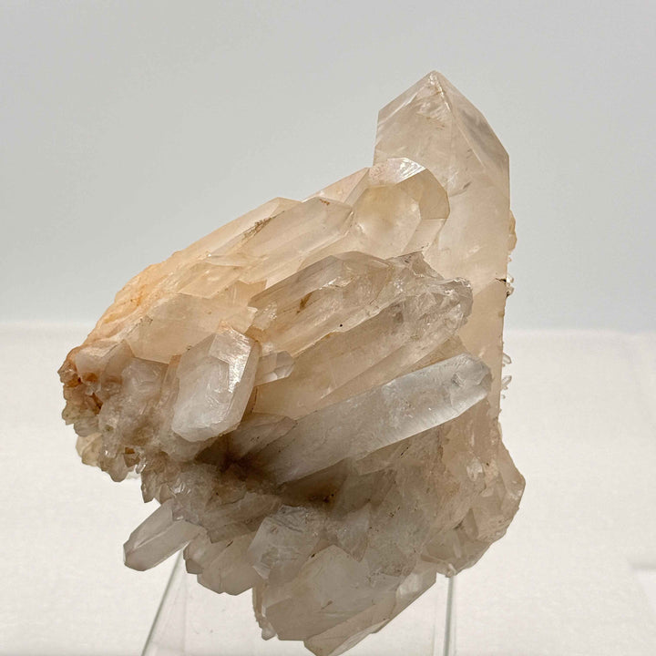 Self-Healed Quartz Specimen with Lemurian Points | 8" Display Crystal