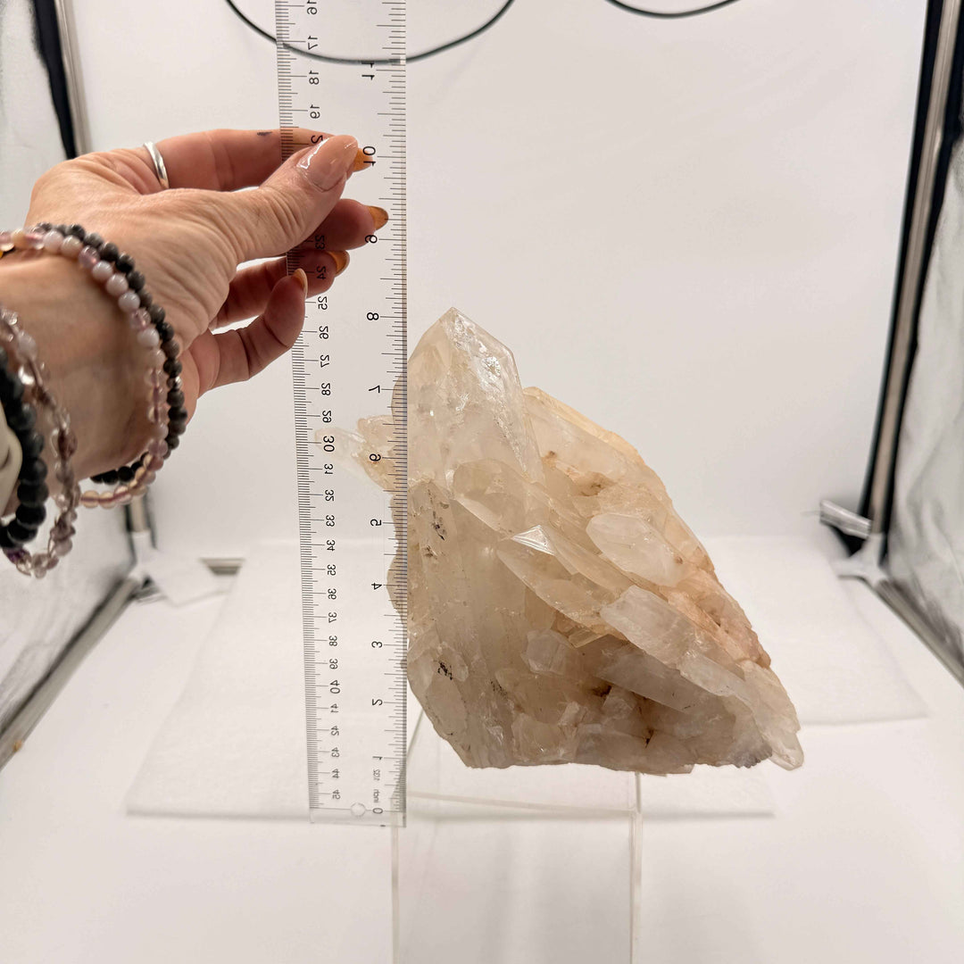 Self-Healed Quartz Specimen with Lemurian Points | 8" Display Crystal