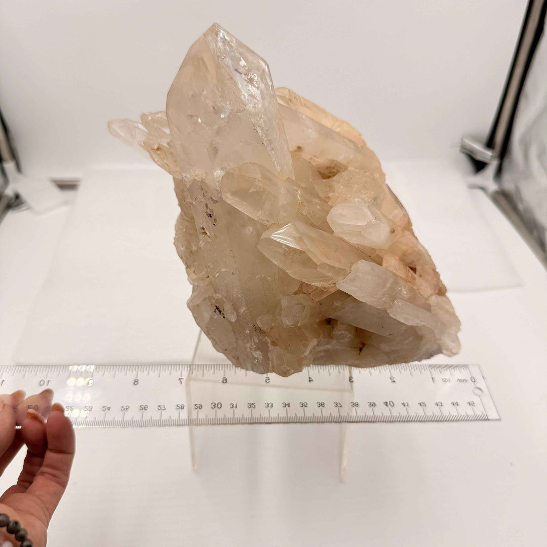 Self-Healed Quartz Specimen with Lemurian Points | 8" Display Crystal