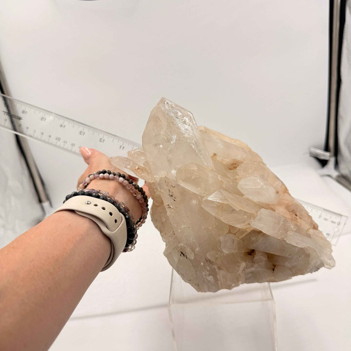 Self-Healed Quartz Specimen with Lemurian Points | 8" Display Crystal
