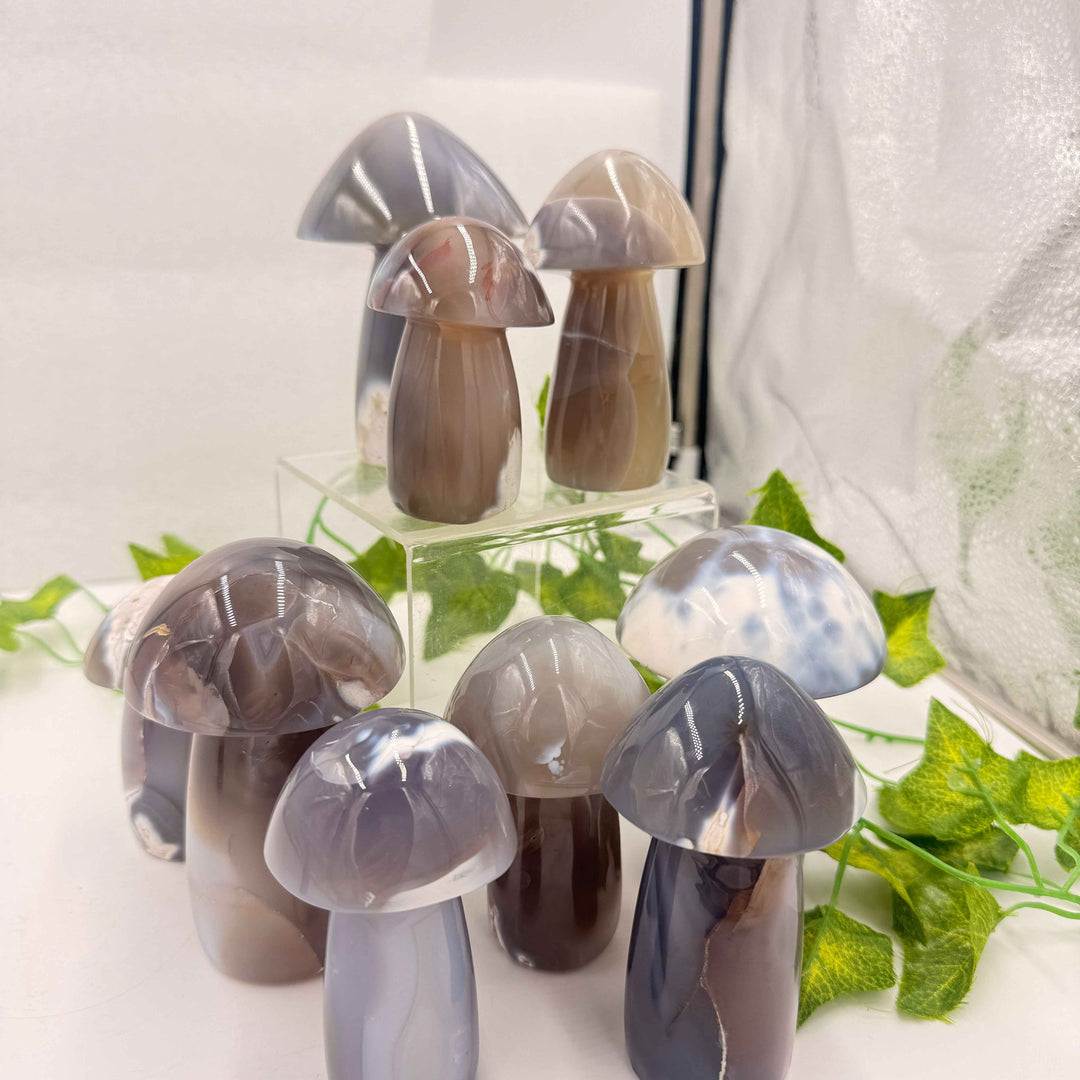 Ghost Agate Mushroom (Also Known as Orca Agate)