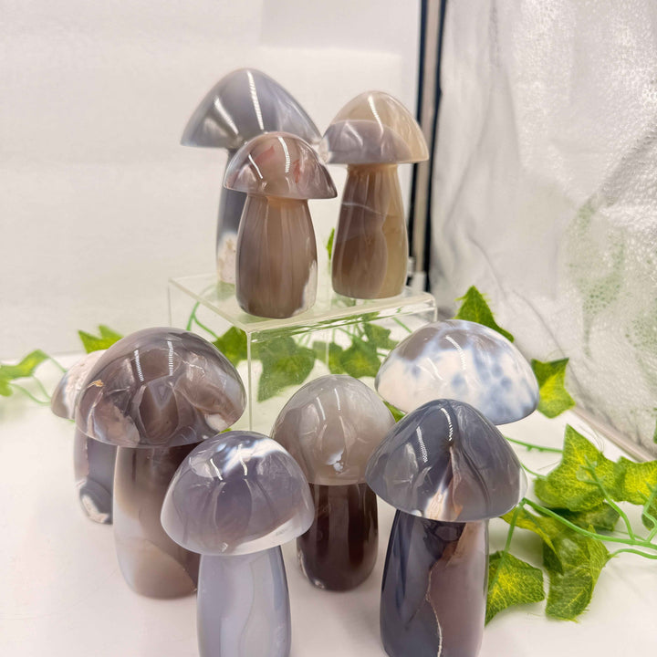 Ghost Agate Mushroom (Also Known as Orca Agate)