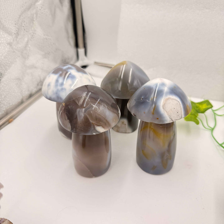 Ghost Agate Mushroom (Also Known as Orca Agate)