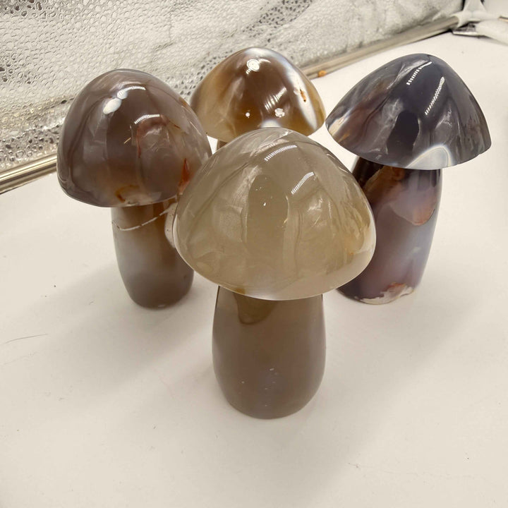 Ghost Agate Mushroom (Also Known as Orca Agate)