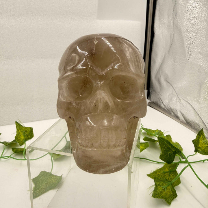 Smoky Citrine Quartz Skull 💀 4.1 lbs