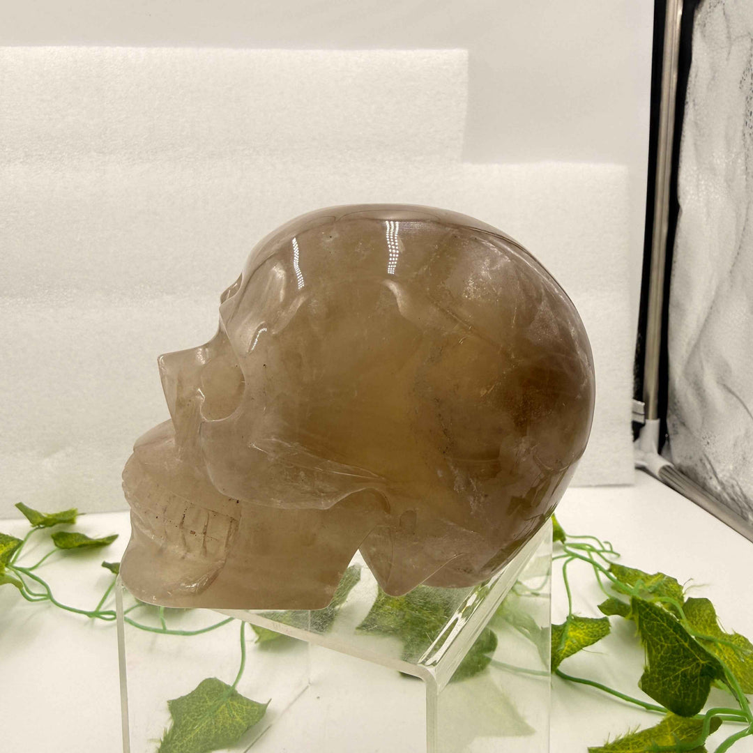 Smoky Citrine Quartz Skull 💀 4.1 lbs