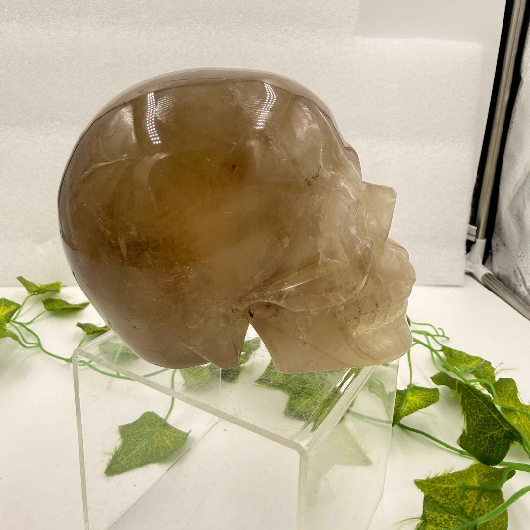 Smoky Citrine Quartz Skull 💀 4.1 lbs