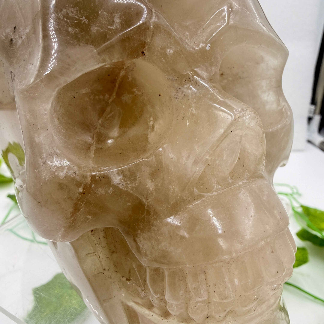 Smoky Citrine Quartz Skull 💀 4.1 lbs
