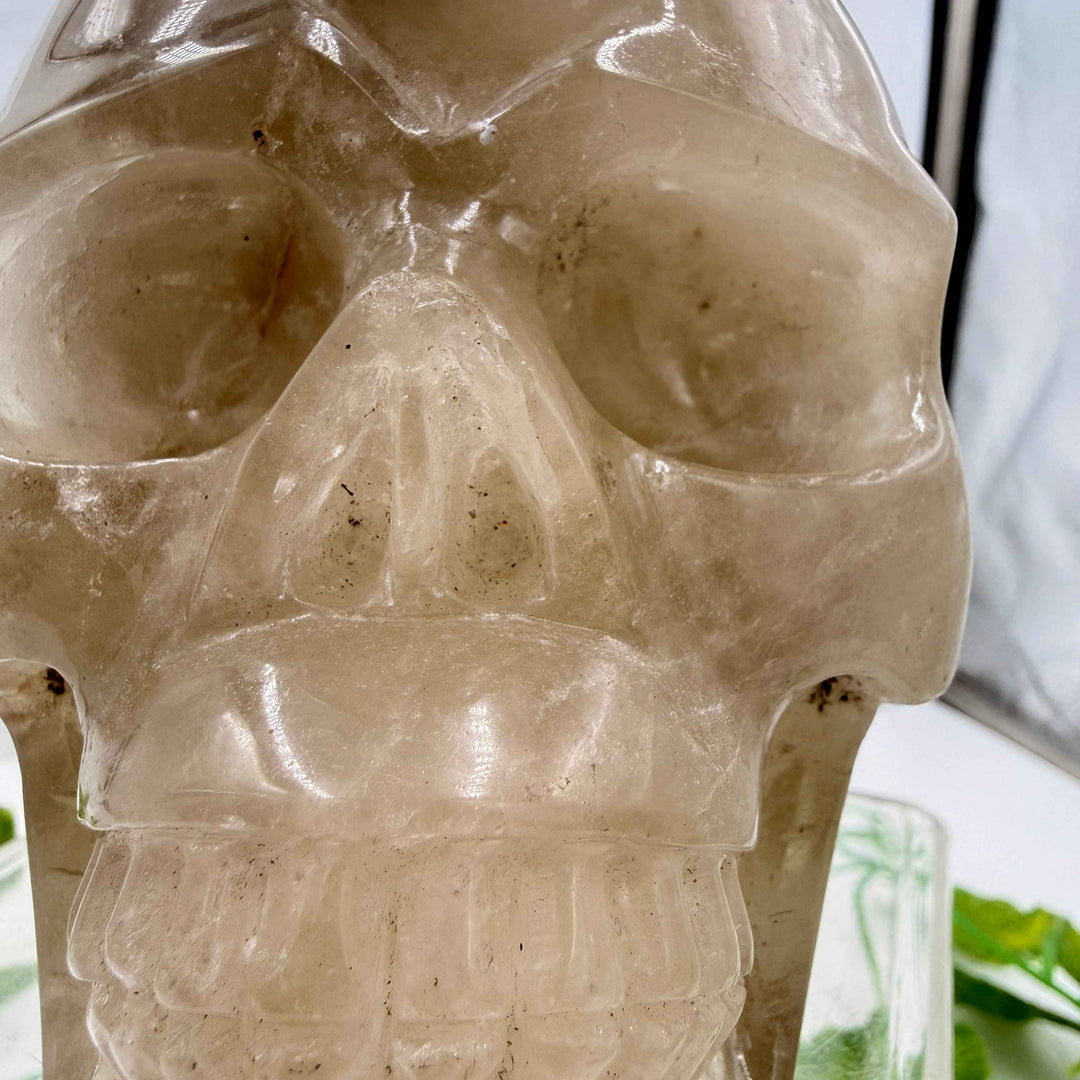 Smoky Citrine Quartz Skull 💀 4.1 lbs