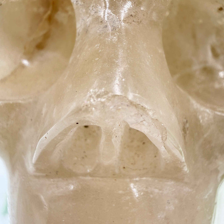 Smoky Citrine Quartz Skull 💀 4.1 lbs