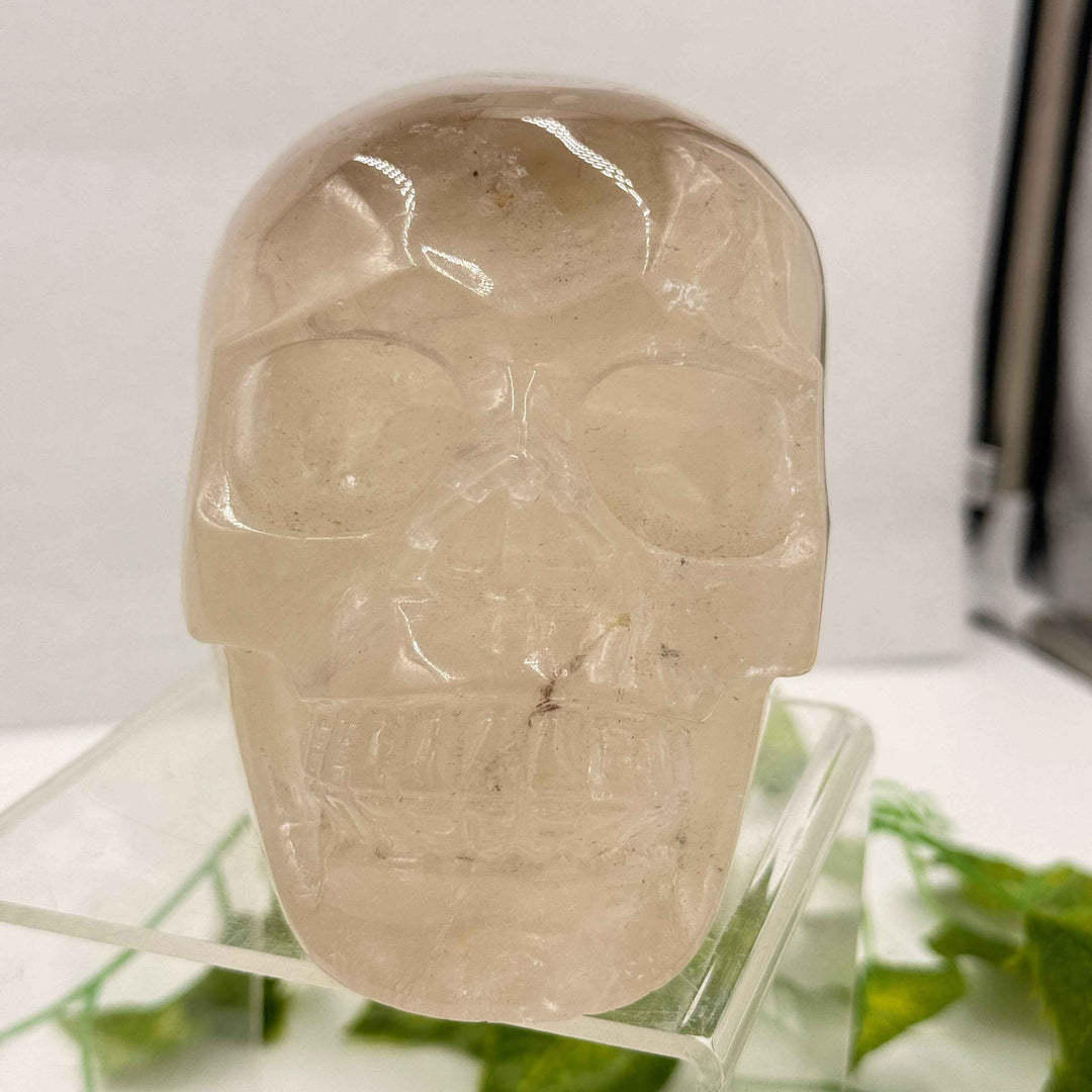 Smoky Quartz Skull 💀 3.1 lbs
