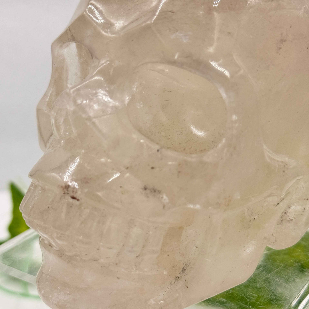 Smoky Quartz Skull 💀 3.1 lbs