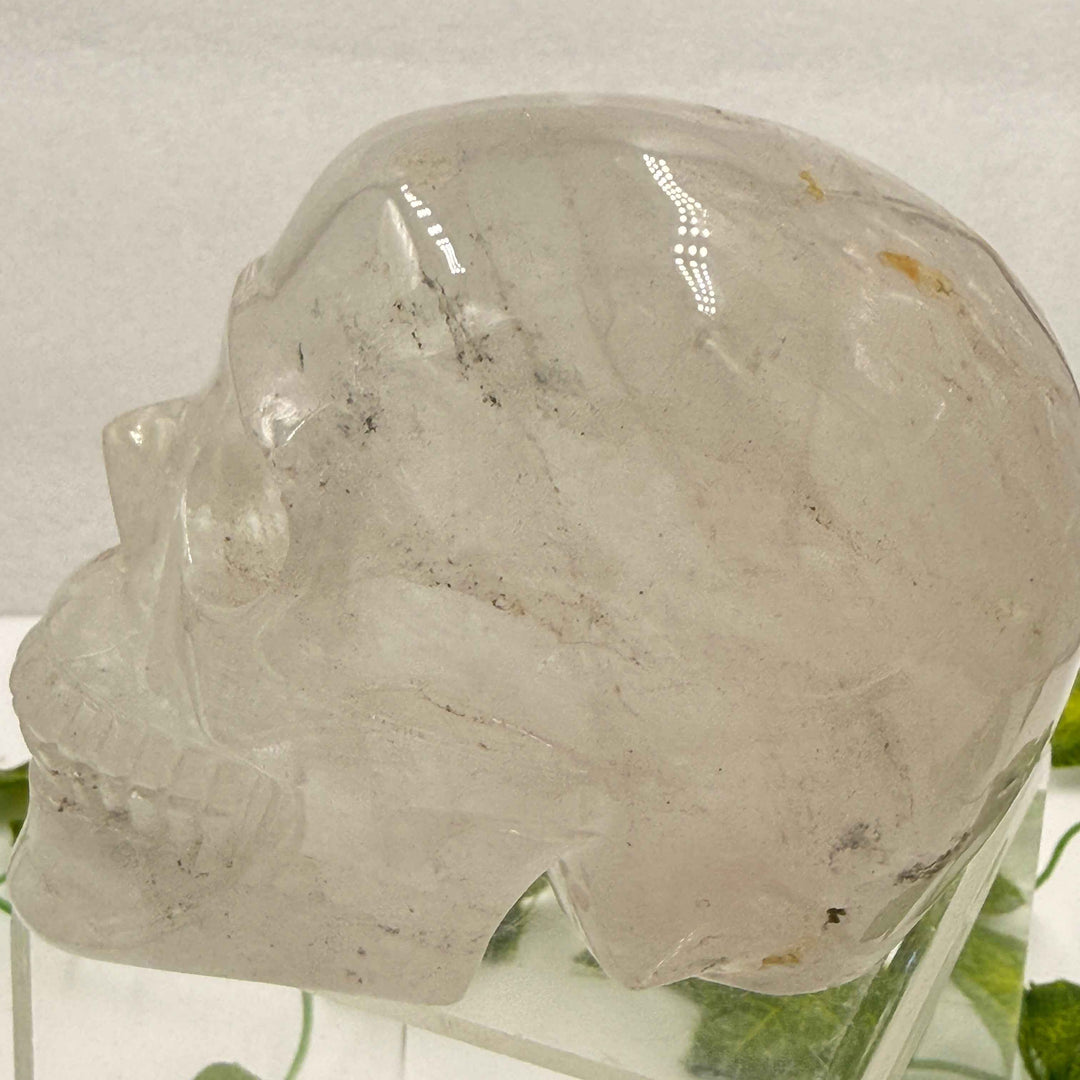 Clear Quartz Skull 💀 2.9 lbs