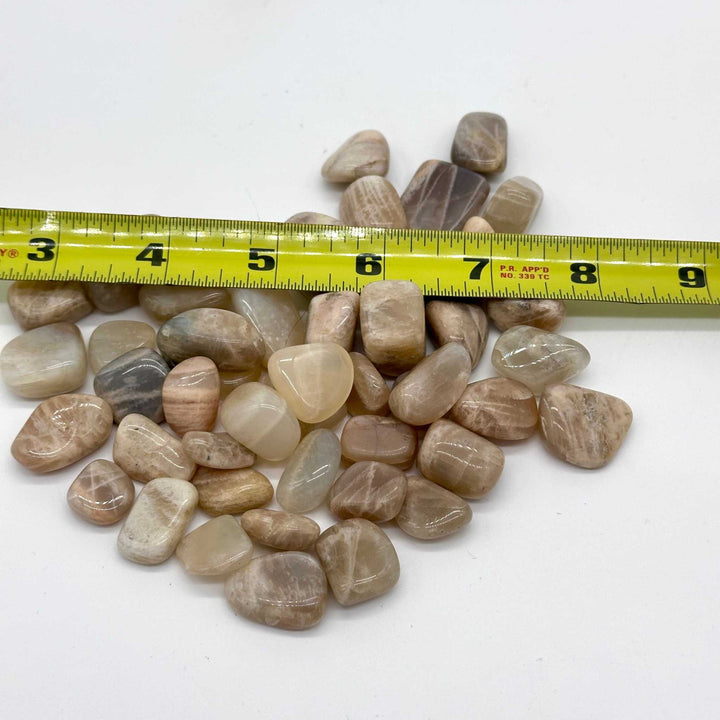 Multi-Color Moonstone Tumbled Stone - The Traveler&