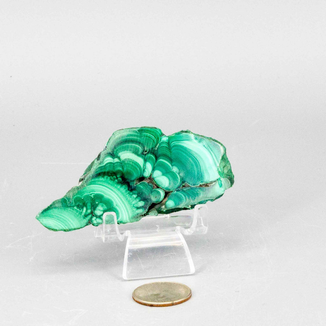 Malachite Slices, Polished Healing Stone