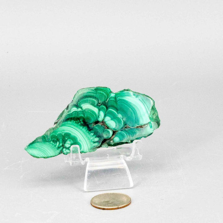 Malachite Slices, Polished Healing Stone