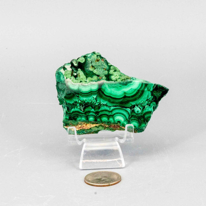 Malachite Slices, Polished Healing Stone