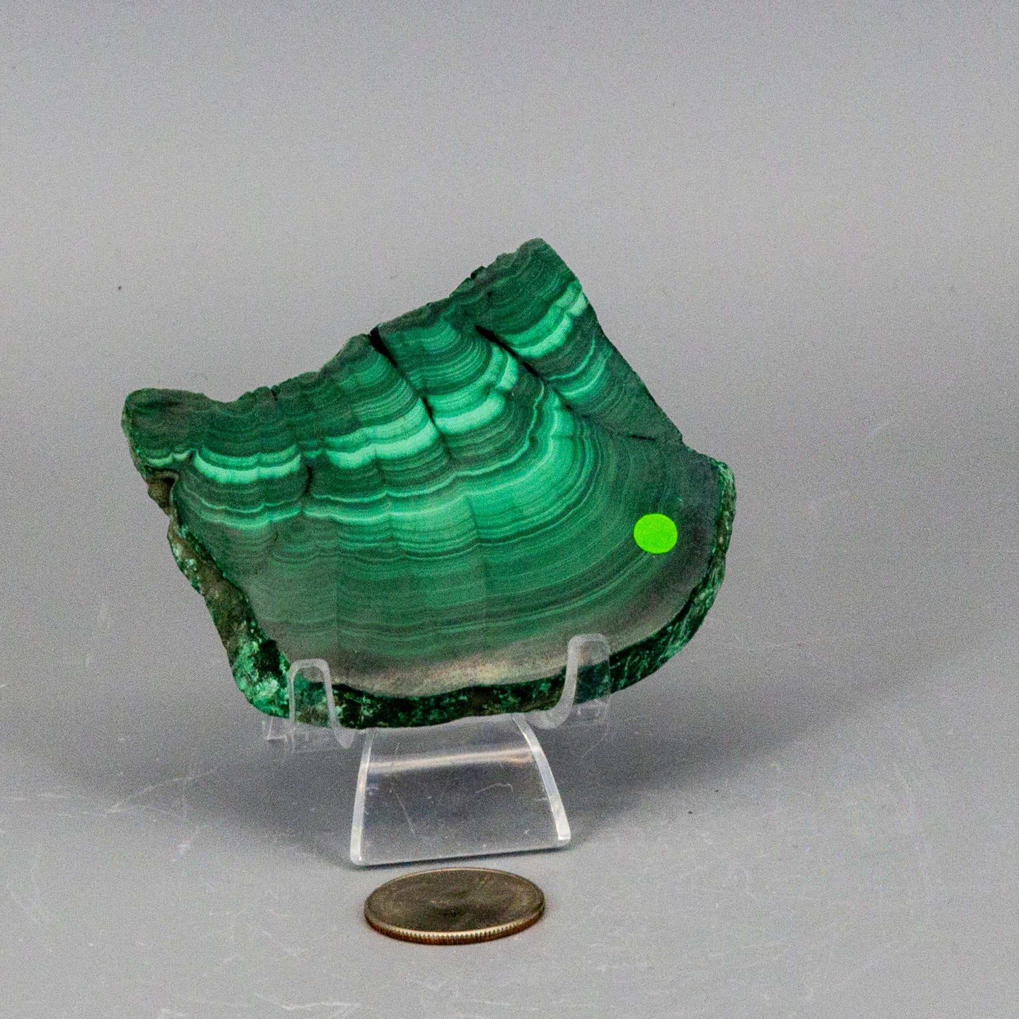 Malachite Slice, Polished Healing Stone
