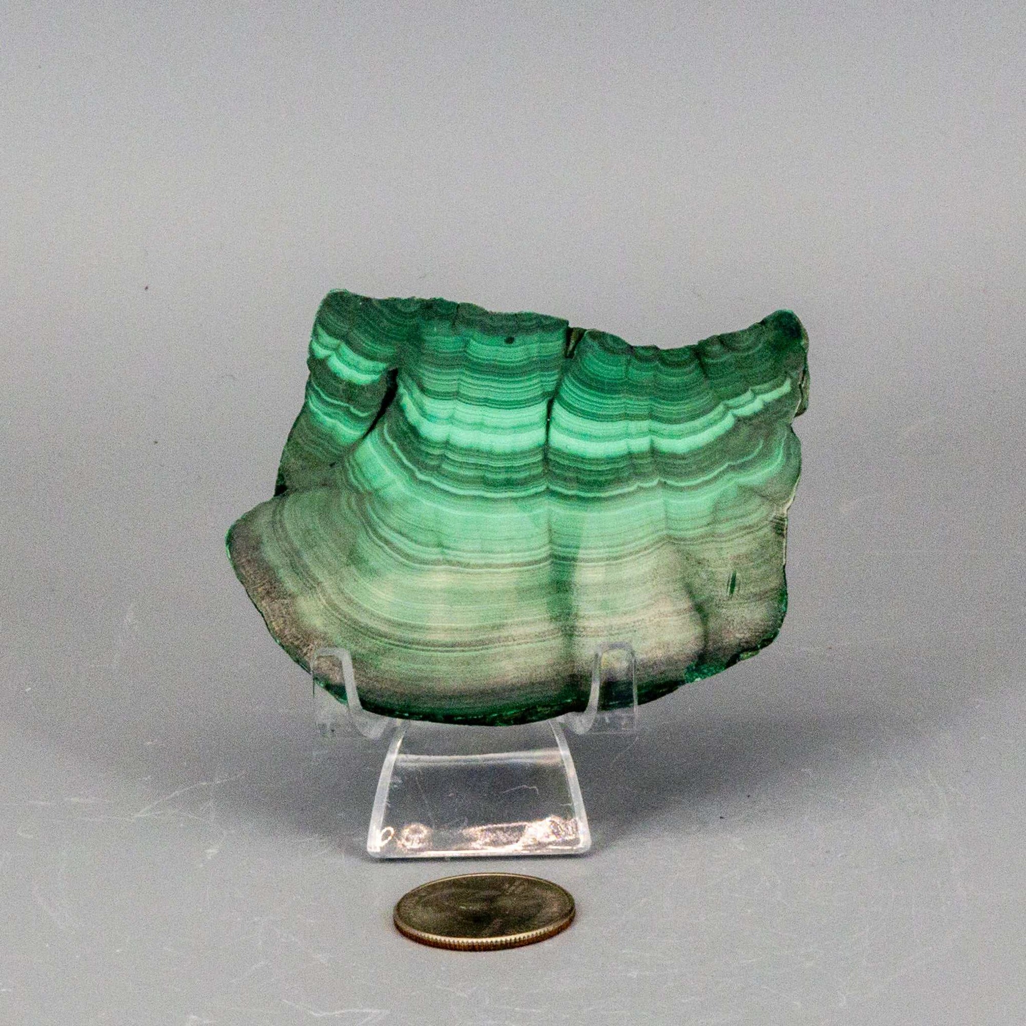 Malachite Slice, Polished Healing Stone