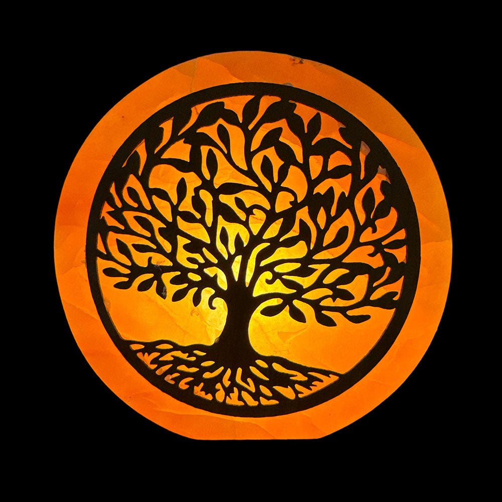 Tree of Life Selenite Lamp
