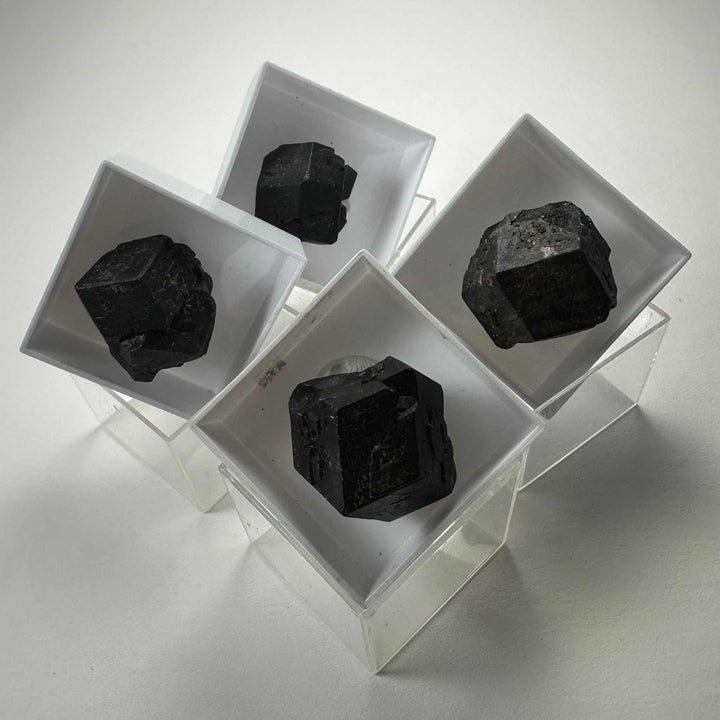 Thumbnail Specimens in Acrylic Box from Morocco