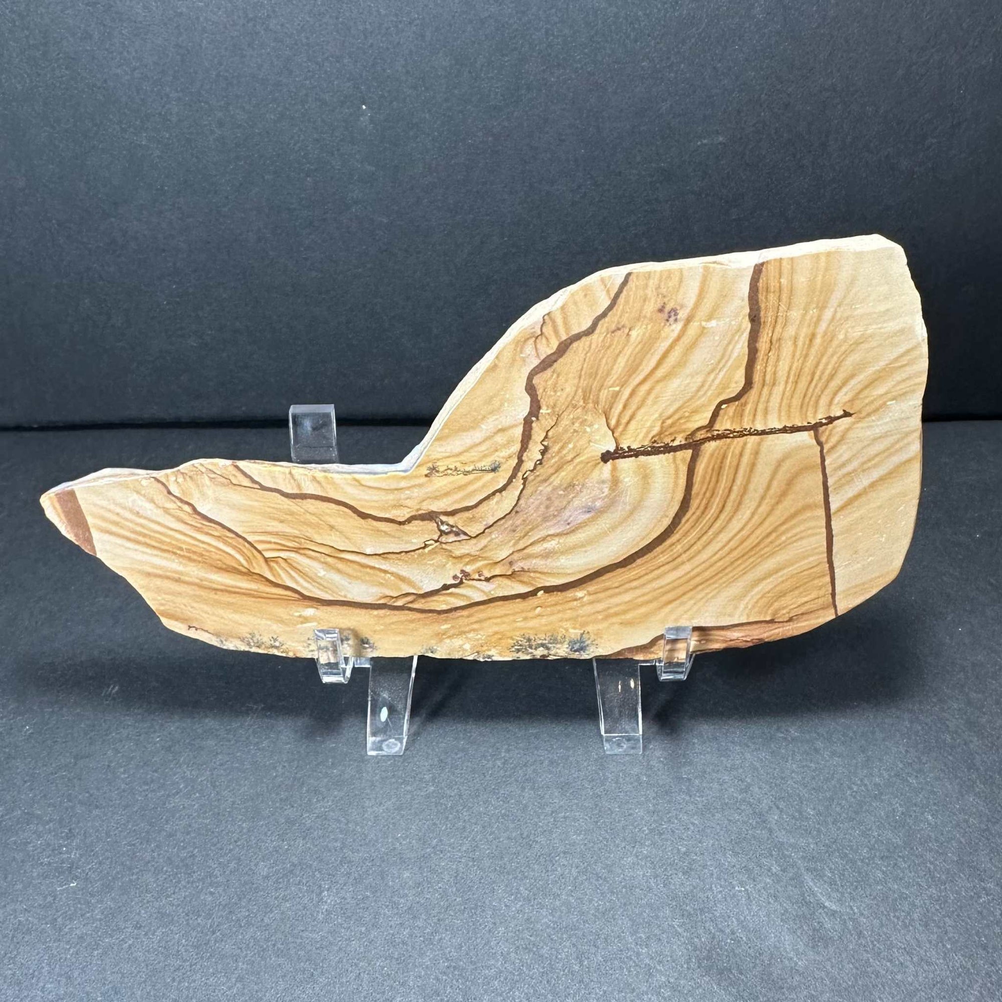 Picture Jasper Plate (L) from Morocco