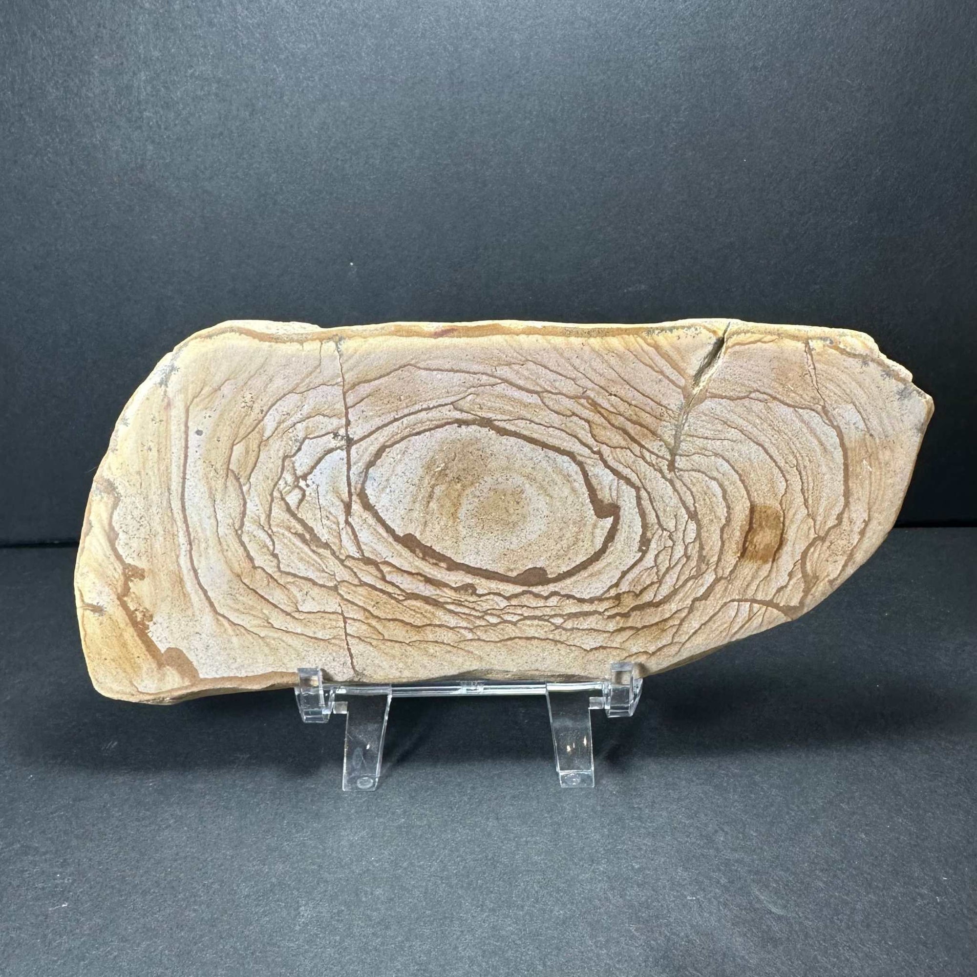 Picture Jasper Plate (L) from Morocco