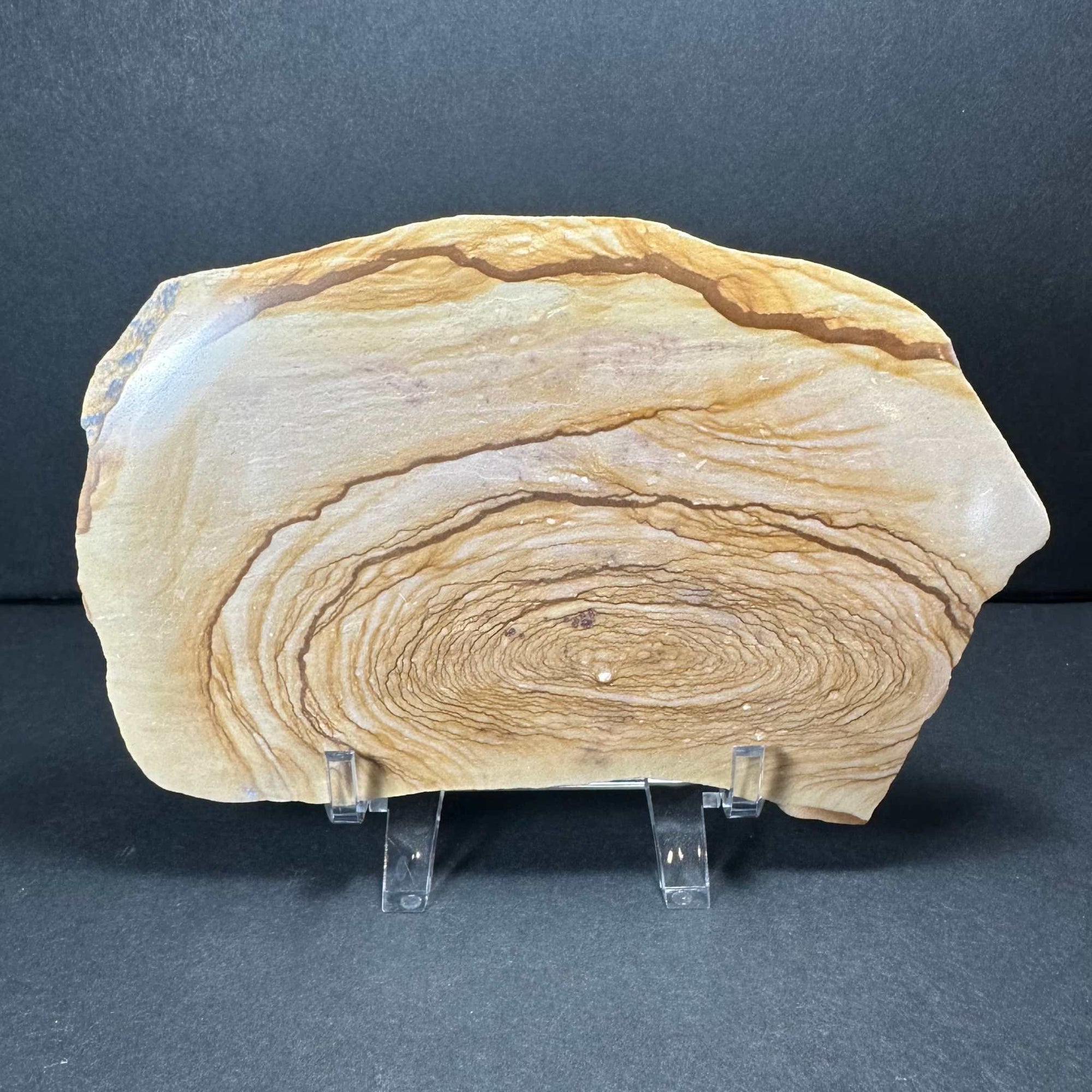 Picture Jasper Plate (L) from Morocco