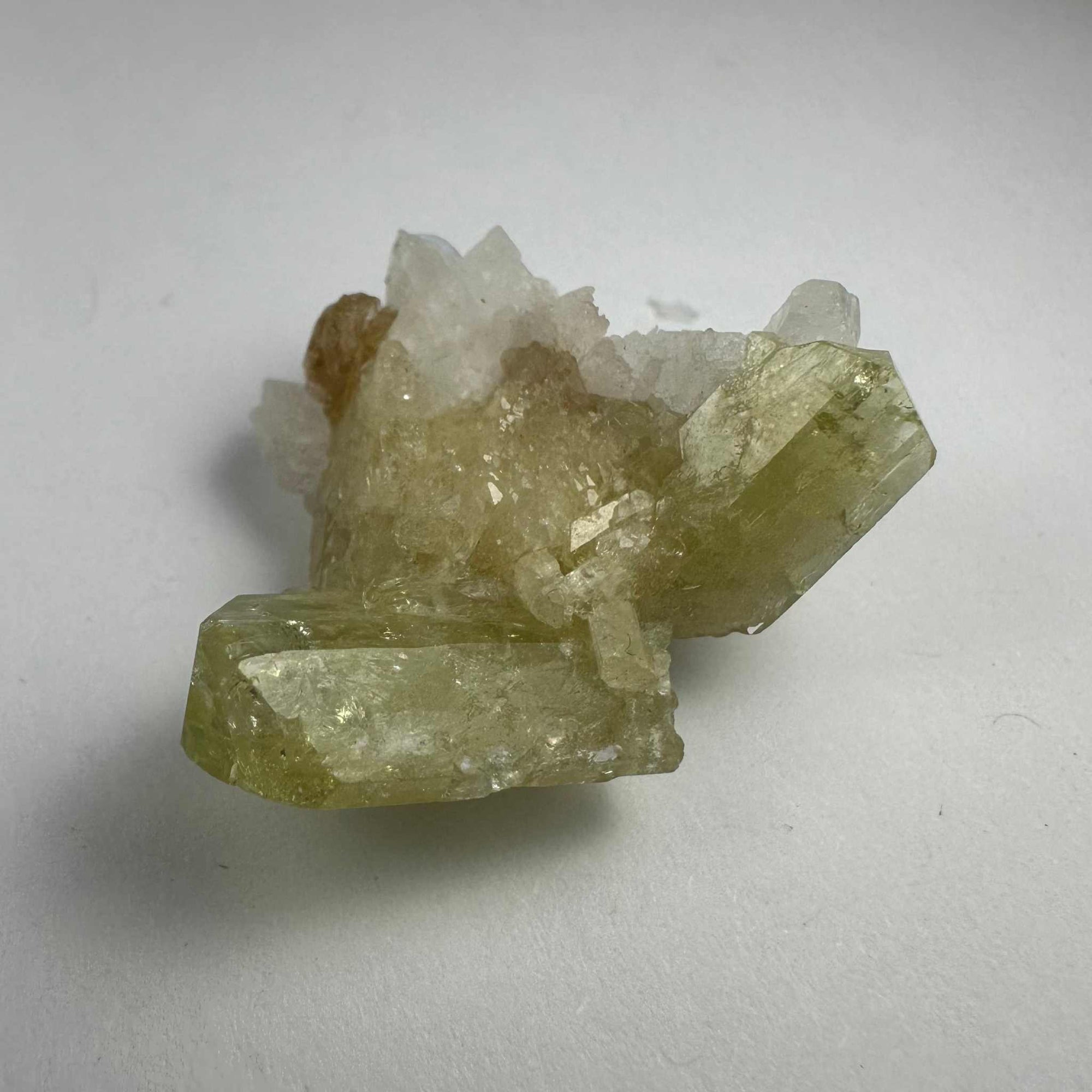 Brazilianite on Albite