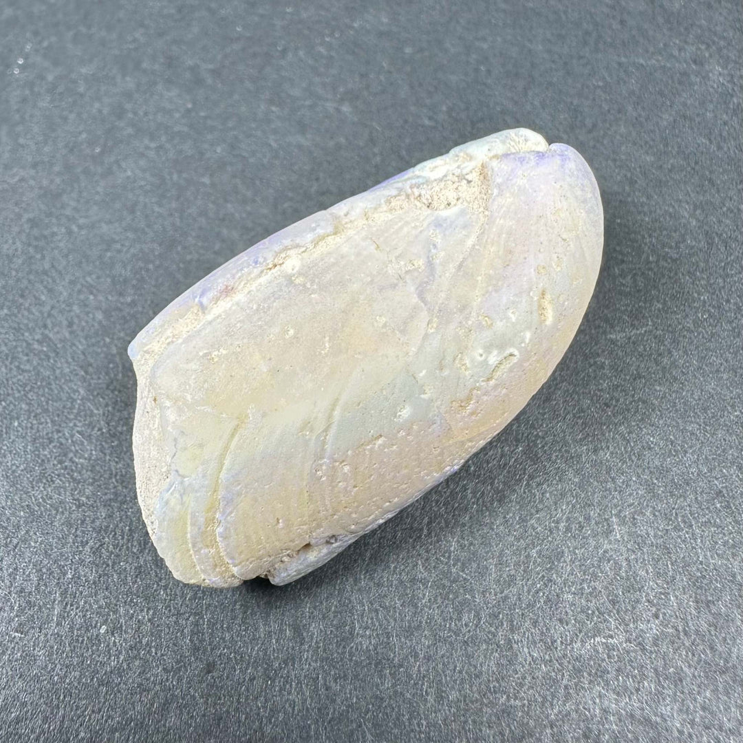 Natural Opalized Clam Shell
