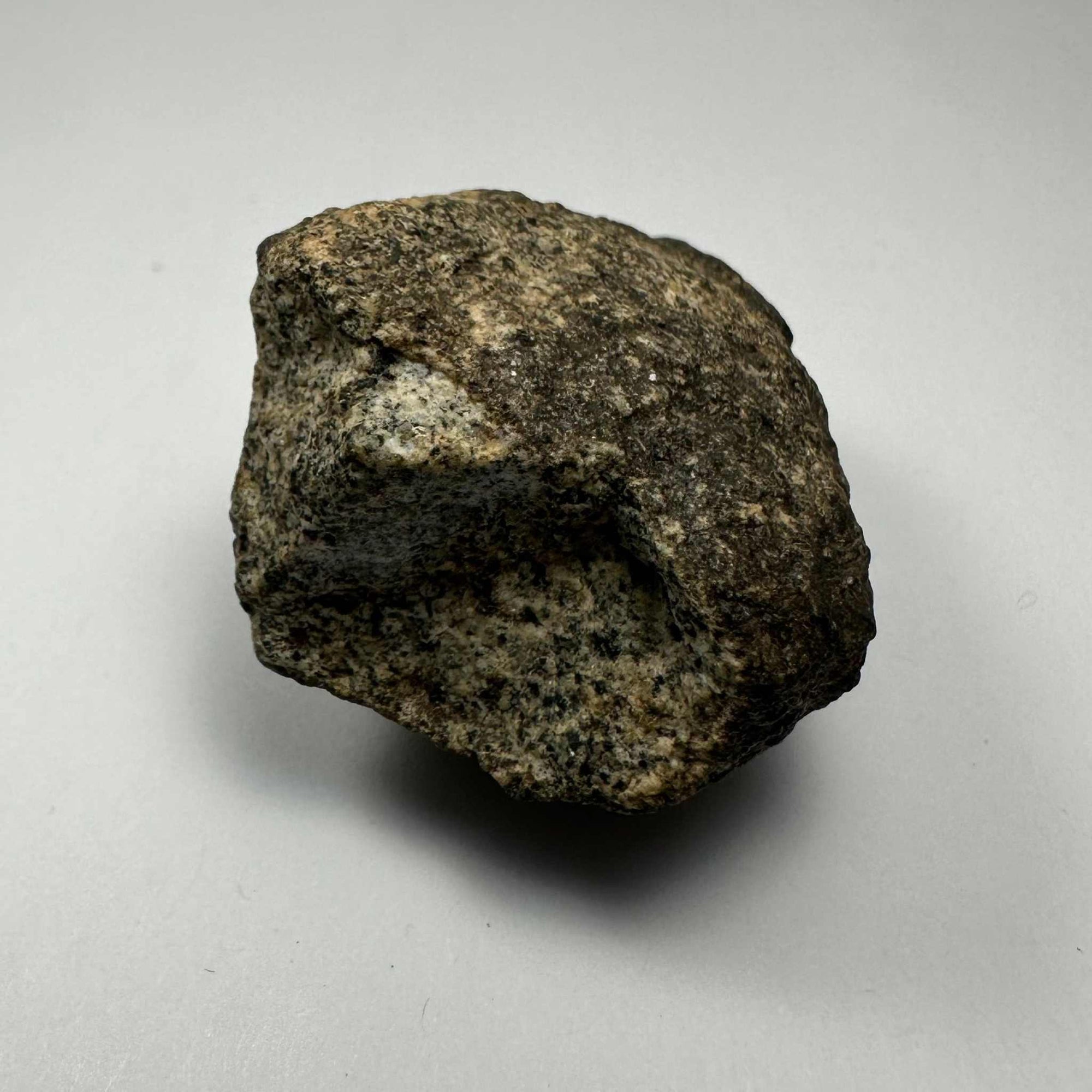 Chondrites Meteorite South Sahara Desert, Morocco