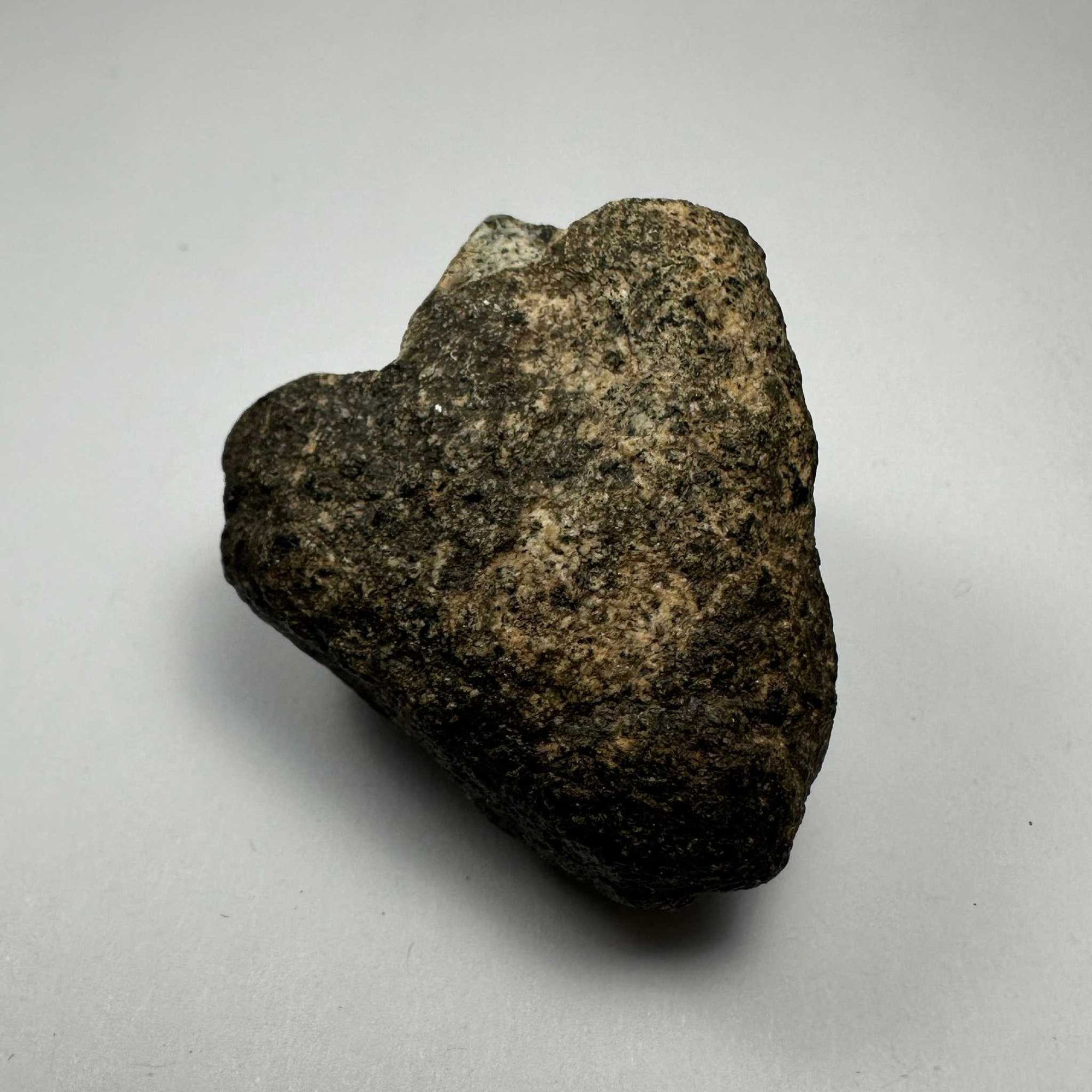 Chondrites Meteorite South Sahara Desert, Morocco