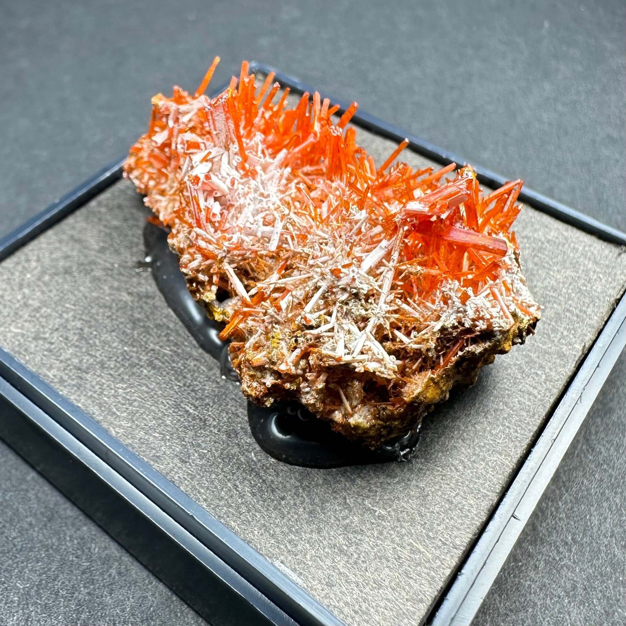 Crocoite on Matrix Adelaide Mine, Dundas, Tasmania, Australia