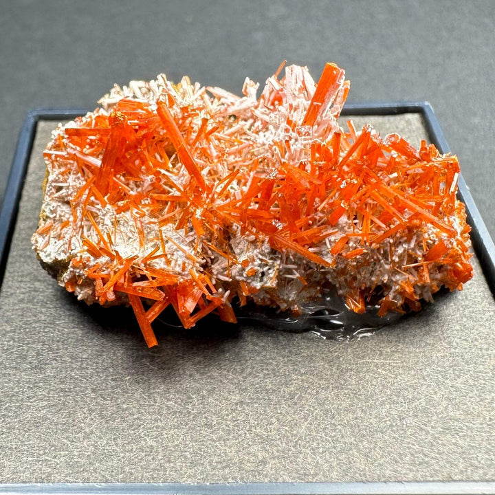 Crocoite on Matrix Adelaide Mine, Dundas, Tasmania, Australia