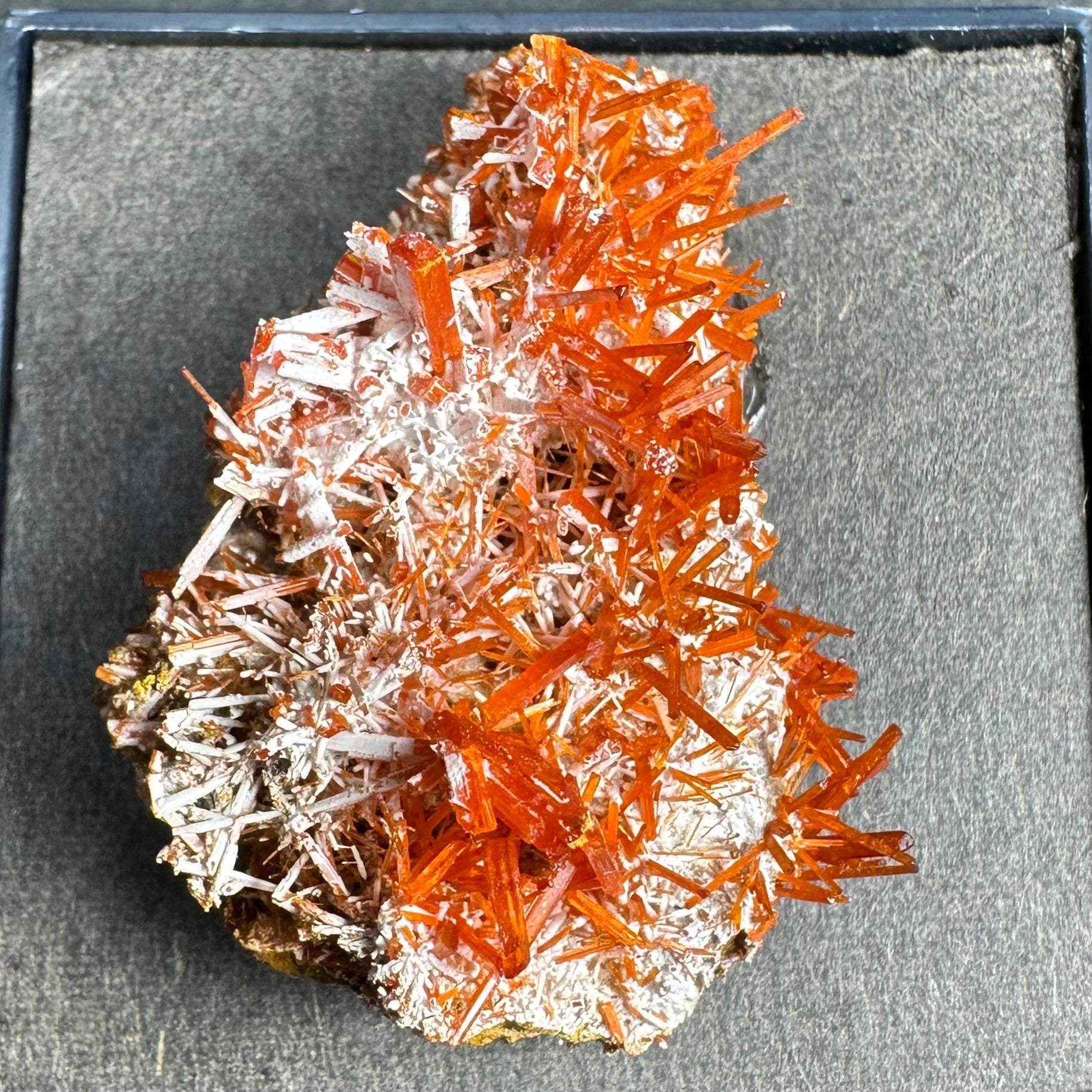 Crocoite on Matrix Adelaide Mine, Dundas, Tasmania, Australia