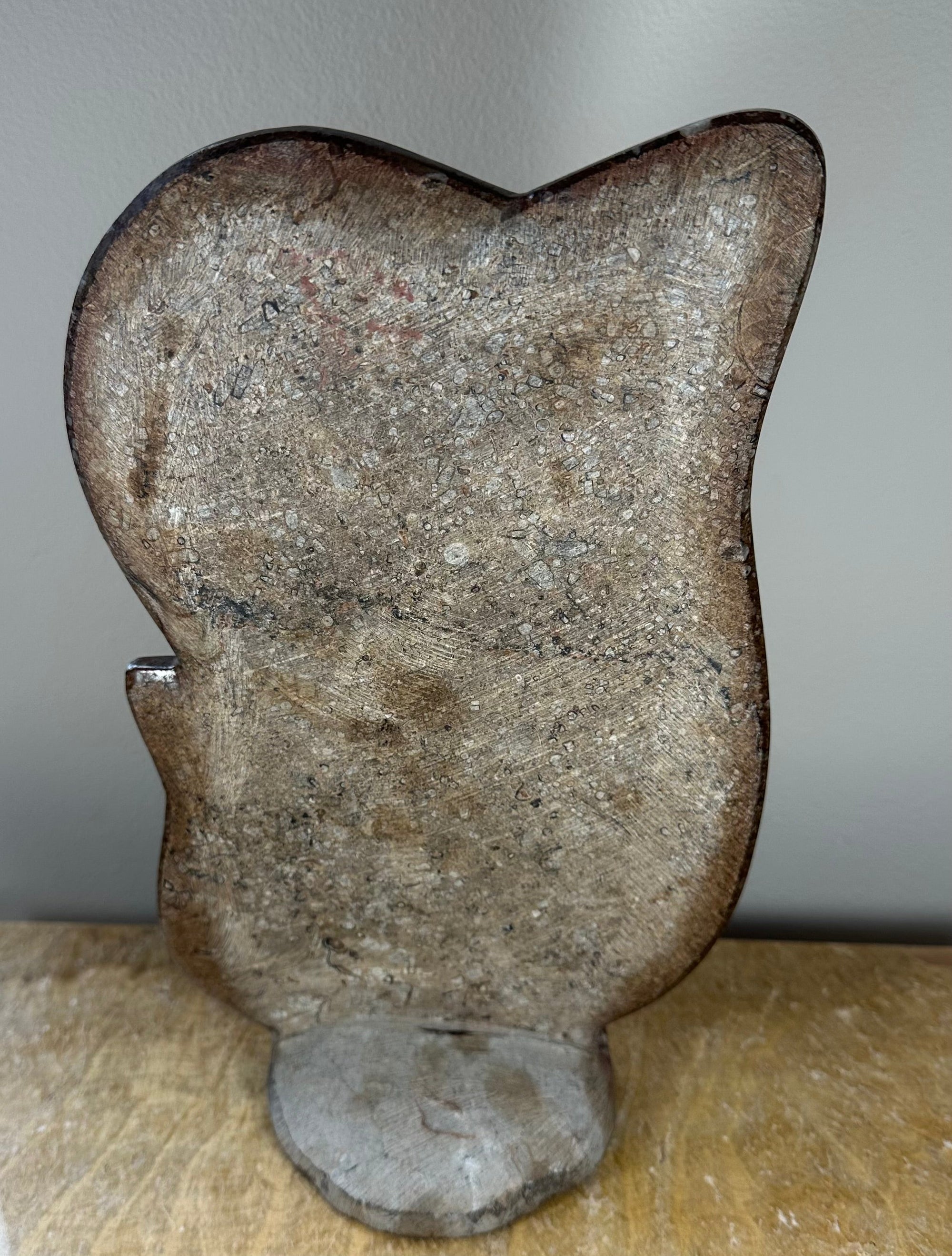 Ammonite Fossils in Matrix Sculpture