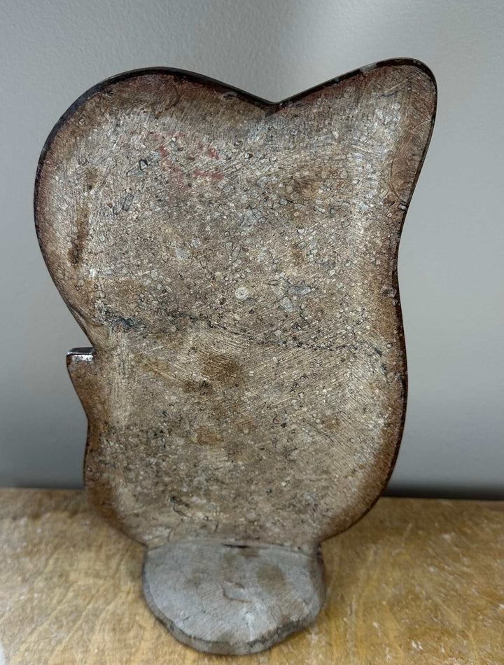 Ammonite Fossils in Matrix Sculpture