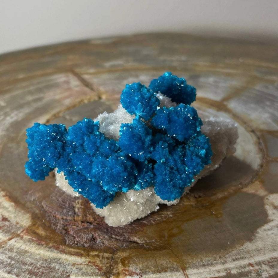 Cavansite with White Stilbite on Matrix Maharashtra, Pune, India