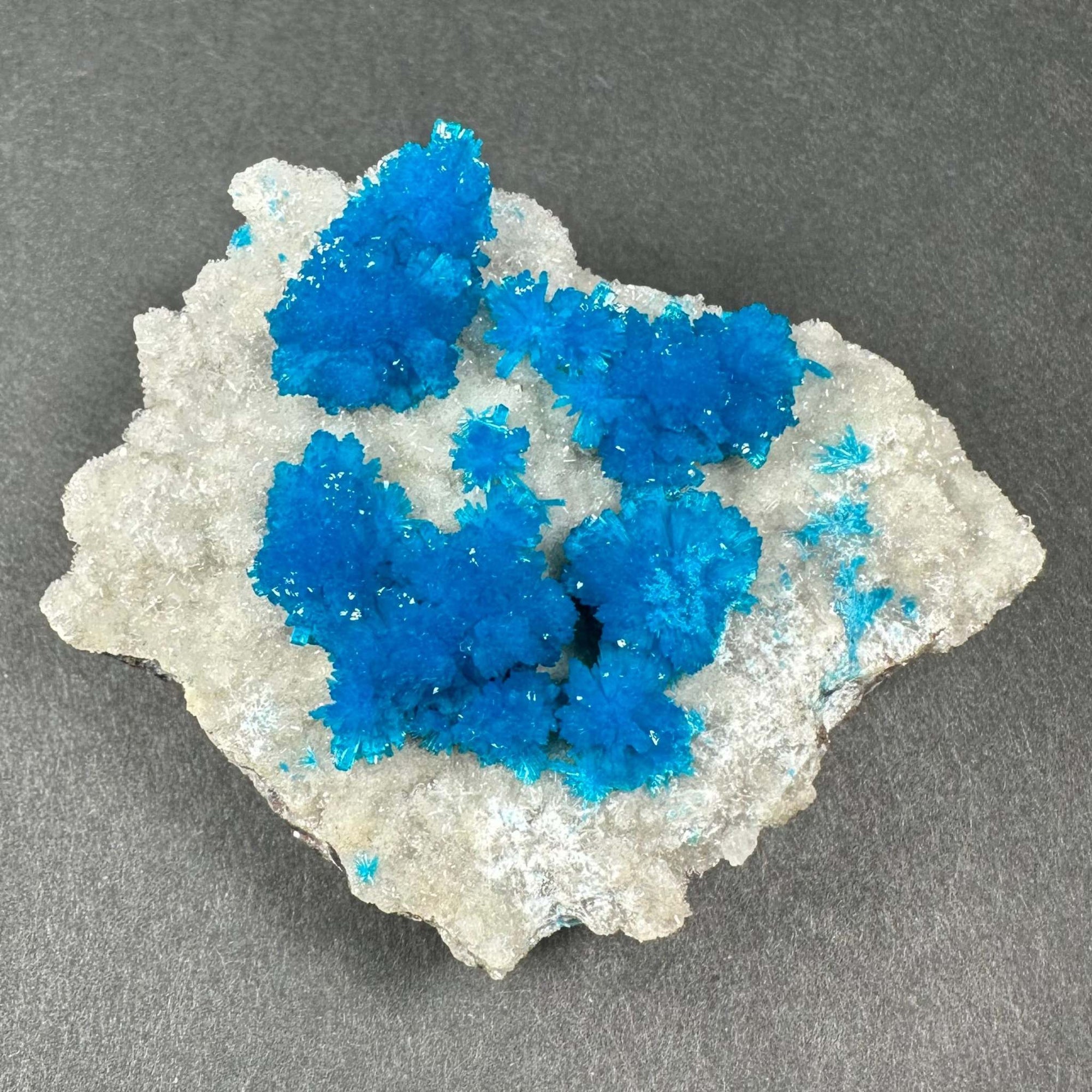 Cavansite with White Stilbite on Matrix Maharashtra, Pune, India