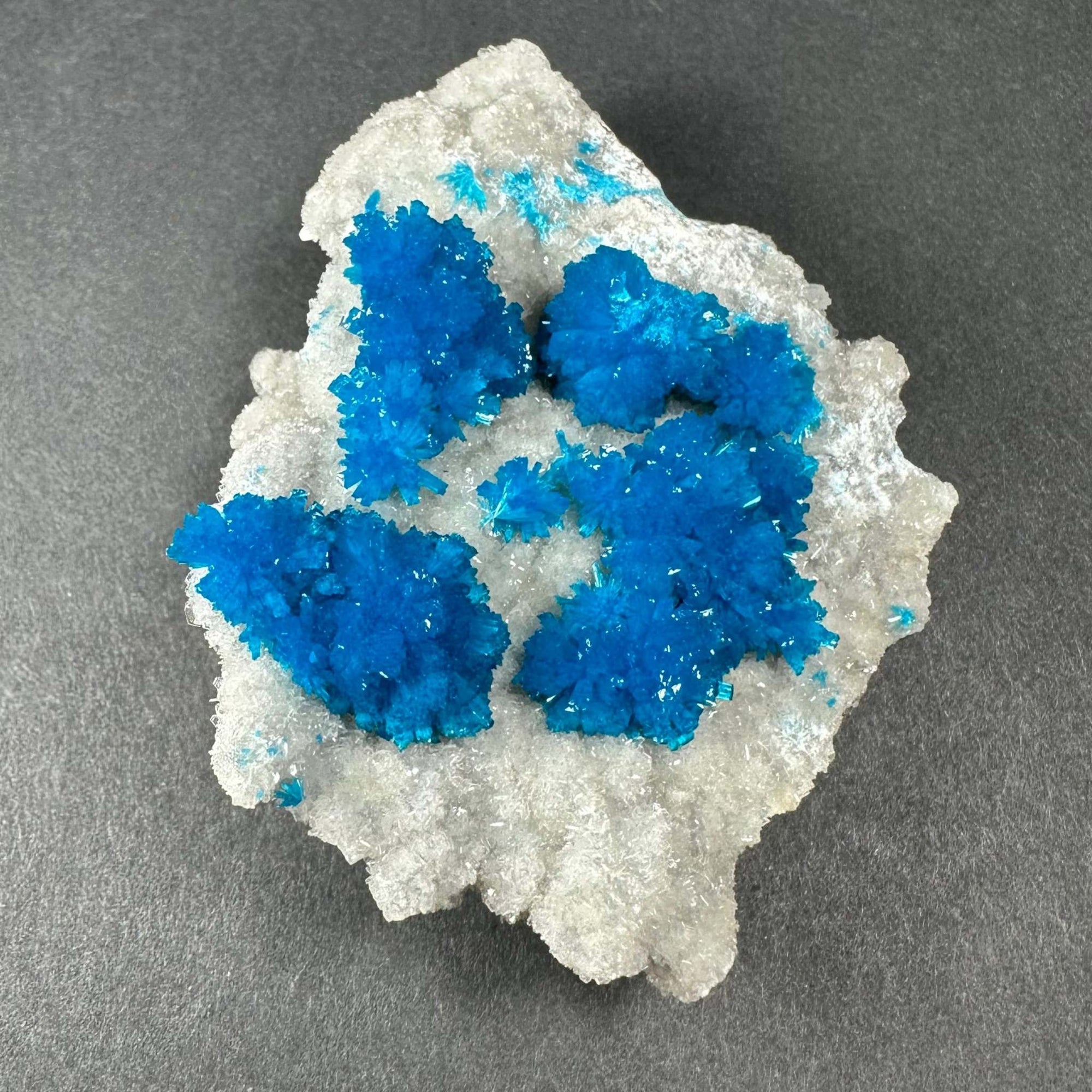 Cavansite with White Stilbite on Matrix Maharashtra, Pune, India
