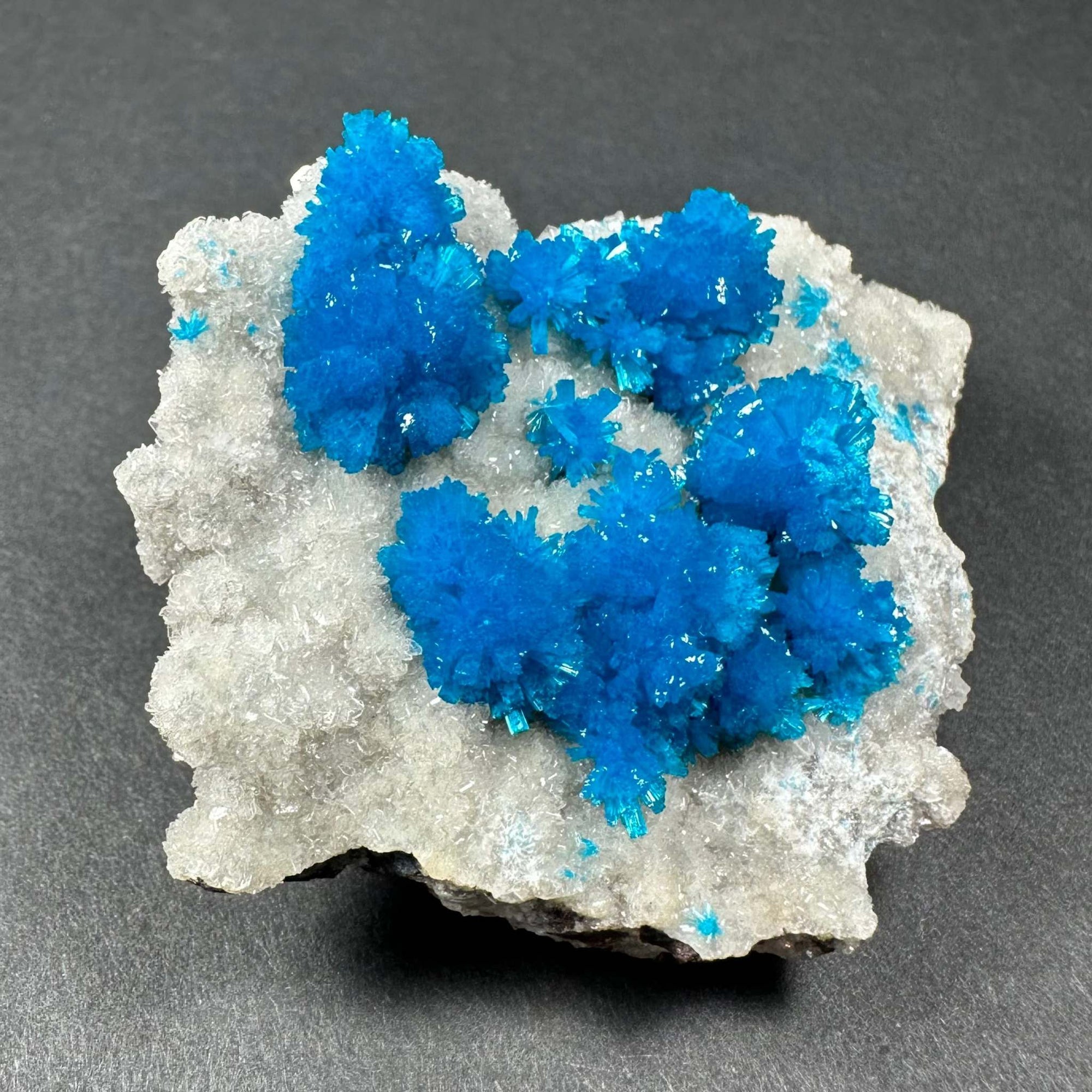 Cavansite with White Stilbite on Matrix Maharashtra, Pune, India
