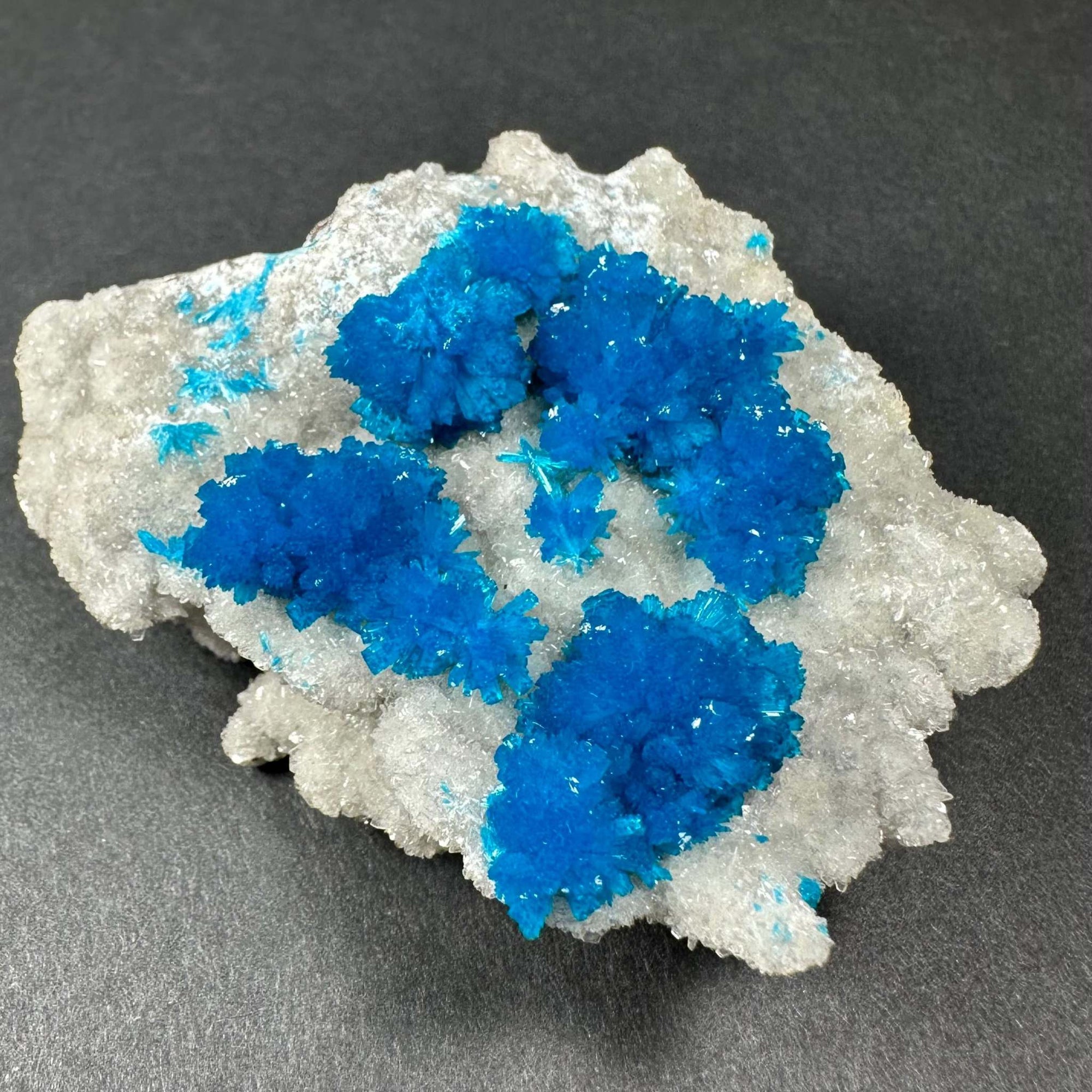 Cavansite with White Stilbite on Matrix Maharashtra, Pune, India
