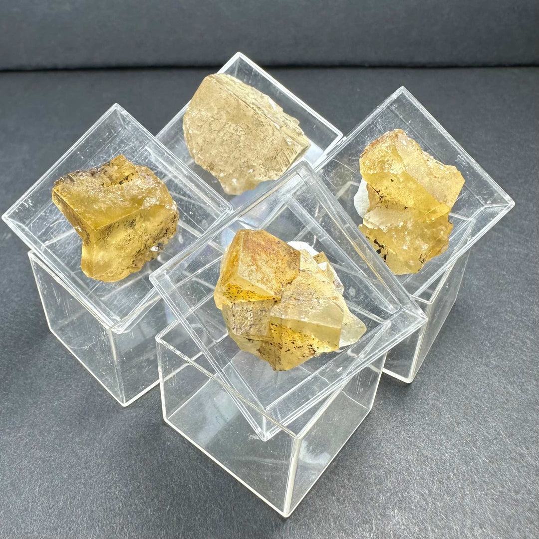 Thumbnail Specimens in Acrylic Box from Morocco